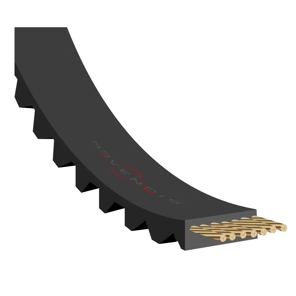 Distribution-Timing-Belt.jpg